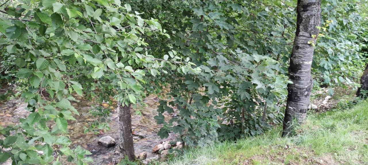 Apartmani Vuk 1 Kolašin Exterior foto